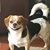 John Holston Jr.'s profile image