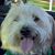 Bonita Bon Bon Love's profile image