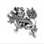 Max LY's profile image