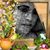 Lissette Escorcia's profile image