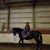 Kelly Grote's profile image