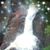 Jennifer Roehl's profile image