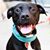 Gale Marie Thompson's profile image