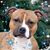 Judy Heller's profile image