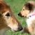 Debbie Warosh's profile image