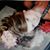 Lisa Marie McMurray's profile image