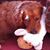 Edward Movsesian's profile image