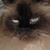 Johnna Hodges's profile image