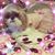 Lizbeth Salazar's profile image