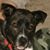 Tammy Crowe Revel's profile image
