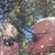 Sharon Conklin's profile image