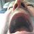 Michael Drisgula's profile image