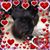 Christine Ann Meyer's profile image