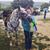 Miriah Ortman's profile image