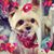 Vanessa Chavez's profile image