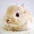 Victoria Lynn Pelkey's profile image