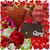 Debbie Benney's profile image