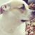 Jill Albin's profile image