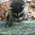 Brenda Styers's profile image
