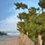 Jennifer Parsons's profile image