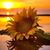 Juanita Keefer's profile image