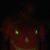 Kelly Kandel's profile image