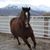 Connie Clark's profile image