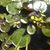 Andrea Clauson King's profile image