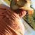 Martin Schnell's profile image