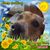 Lynn Estes's profile image