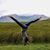 Holly Roberts's profile image