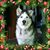 Marcy Oleksak's profile image
