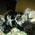 Debbie Miller's profile image