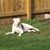 Gina Weeks Chadbourne's profile image