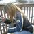 Lynn Eccleston's profile image