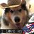 Amy Maughan's profile image