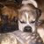 Maura White Sawyer's profile image