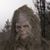 Steve Gray's profile image