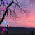 Kathy Sanborn Brooks's profile image