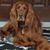 Sandy Griep's profile image