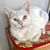 Wendy Slotoroff Moseley's profile image