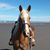 Nic Dukes's profile image