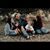 Laurie Schnacker's profile image