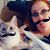 Kayla Lynn Spohn-Paulson's profile image