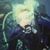 Carol Lis's profile image