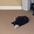 Mary Ann Toomey's profile image
