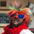 Paul W. Brundage's profile image