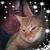 Amber Hudnall's profile image