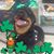 Carmen M. Diaz's profile image