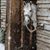 Ouida Sherman Granger Spears's profile image